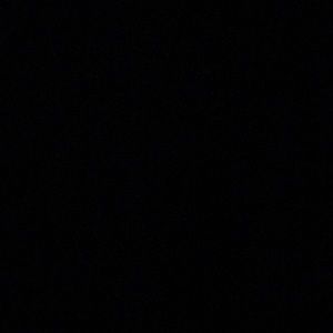 Meet your Posher, Tony